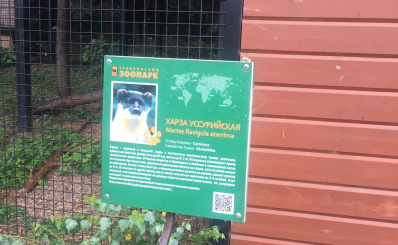 2019-06-28 13.14.53 — копия.JPG