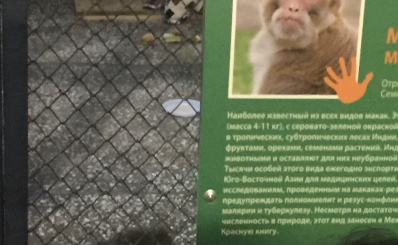 2019-06-28 13.52.55.JPG
